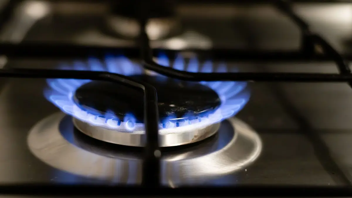 Blue gas flame burning on a hob burner